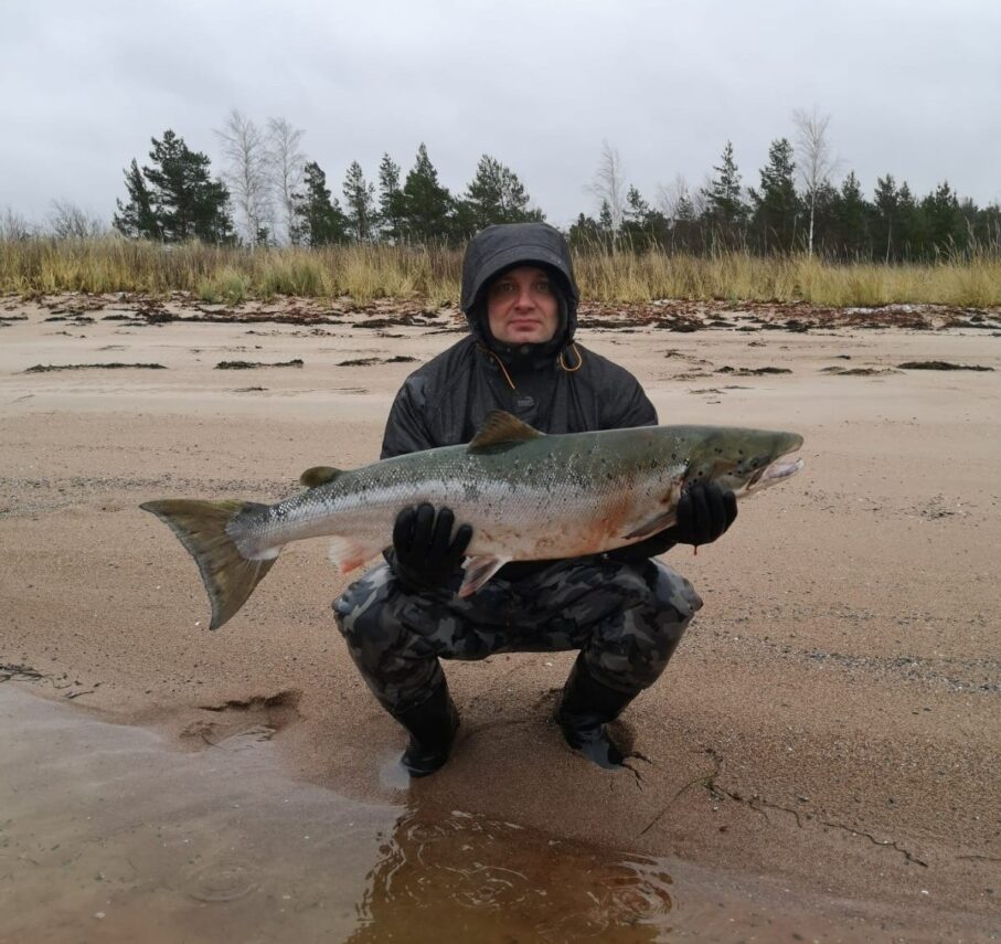 Sügisene meriforelli püük kalavõrguga Saaremaal